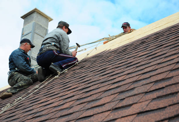 Best Storm Damage Roof Repair  in Waite Park, MN